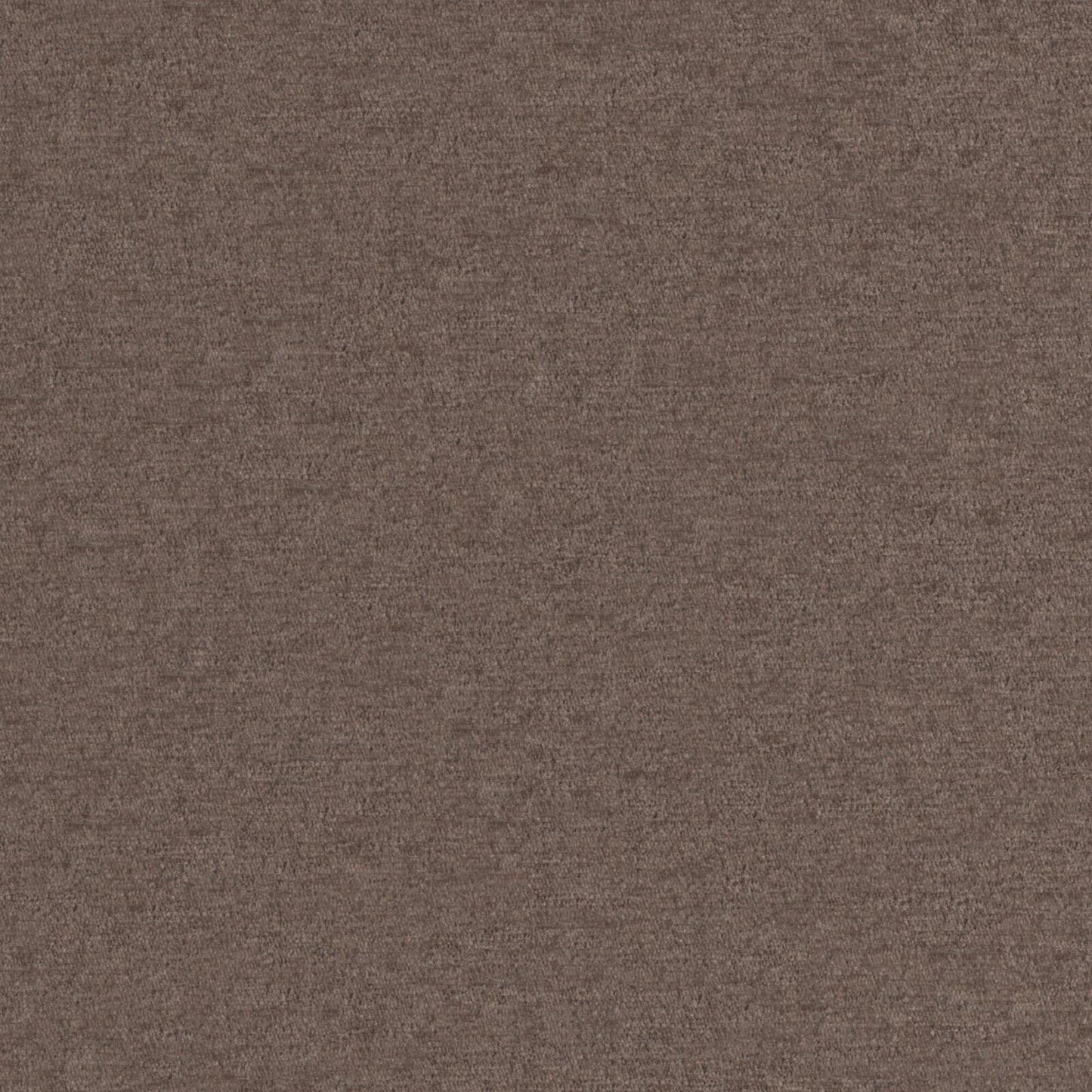 Pintura | # 909 Nut - Maxwell Fabric