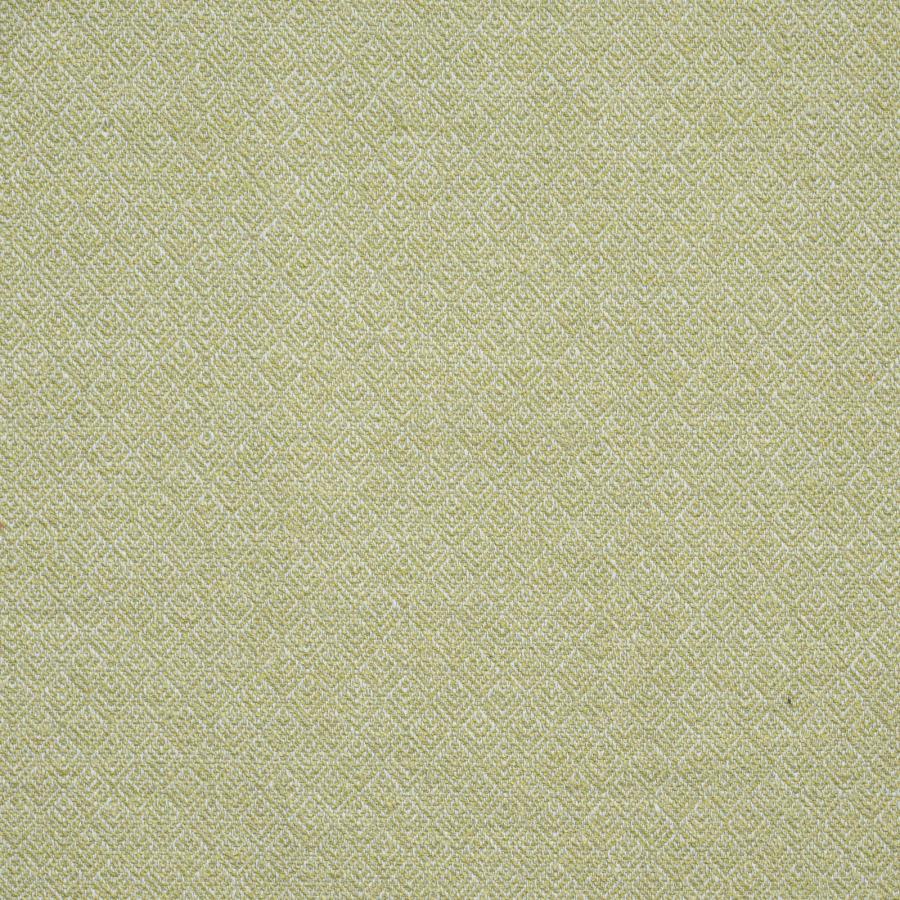 Purchase Maxwell Fabric - Queenswood, # 911 Celery