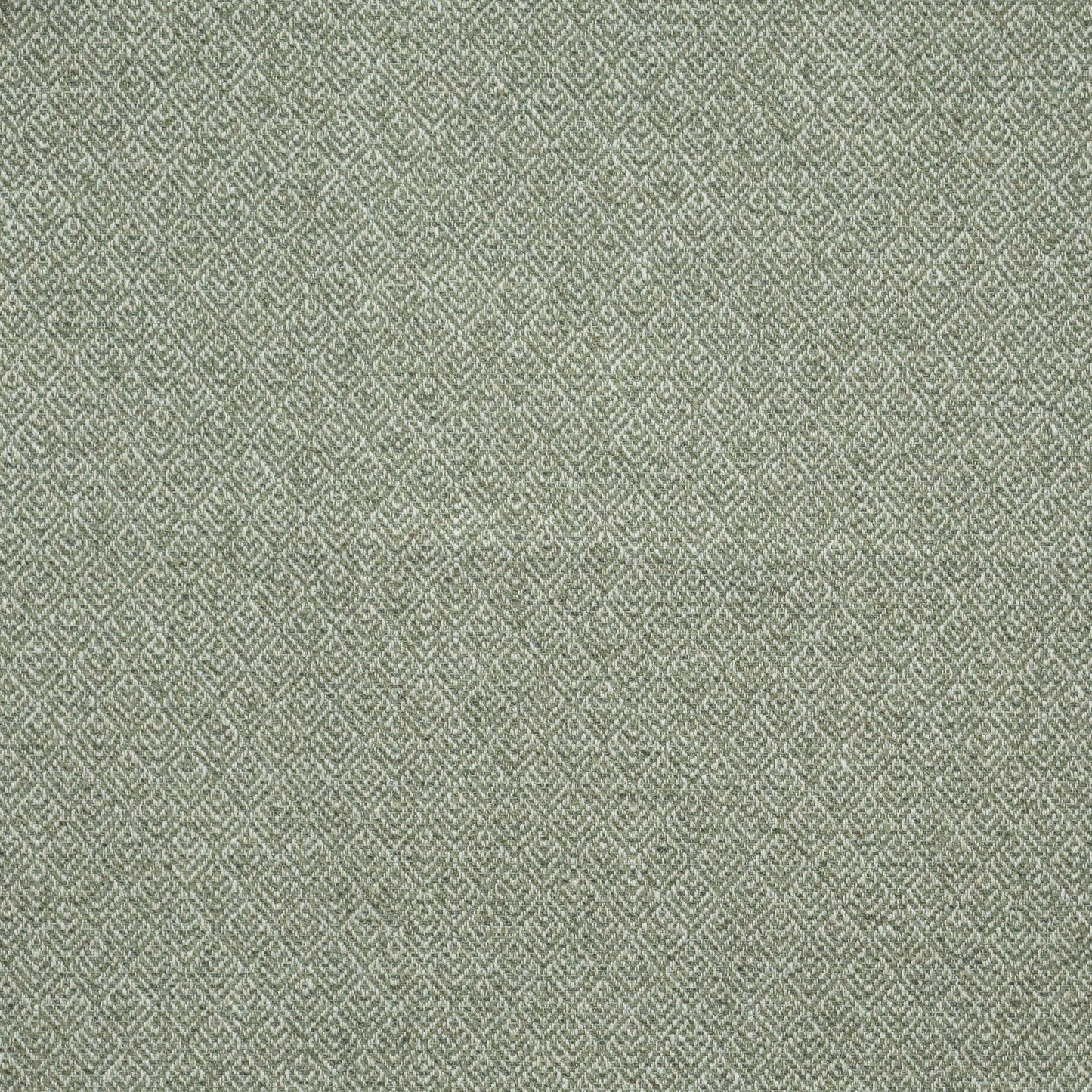 Purchase Maxwell Fabric - Queenswood, # 915 Leaf