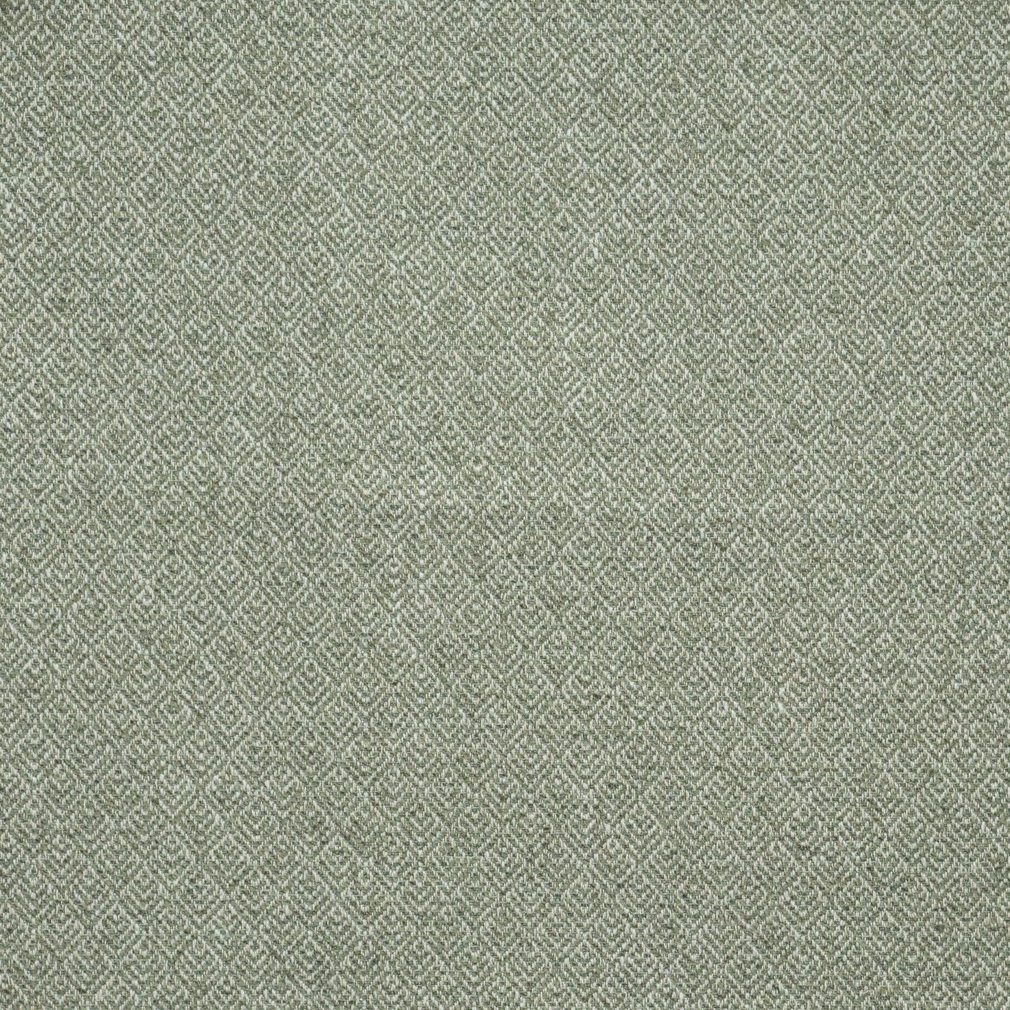 Purchase Maxwell Fabric - Queenswood, # 915 Leaf