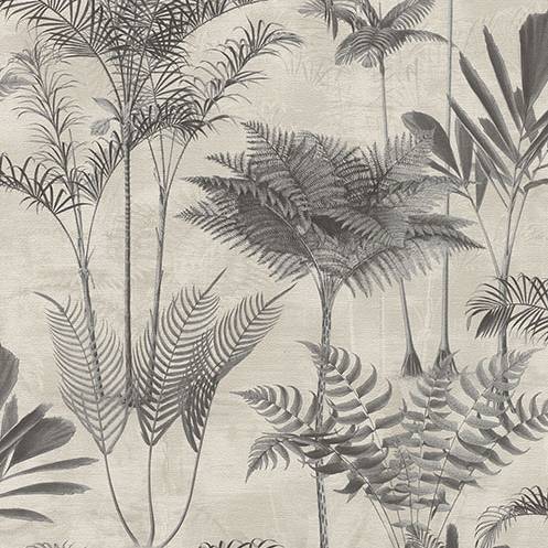 Purchase RH555134 Brewster Wallpaper, Kinabalu Charcoal Rainforest - Rasch