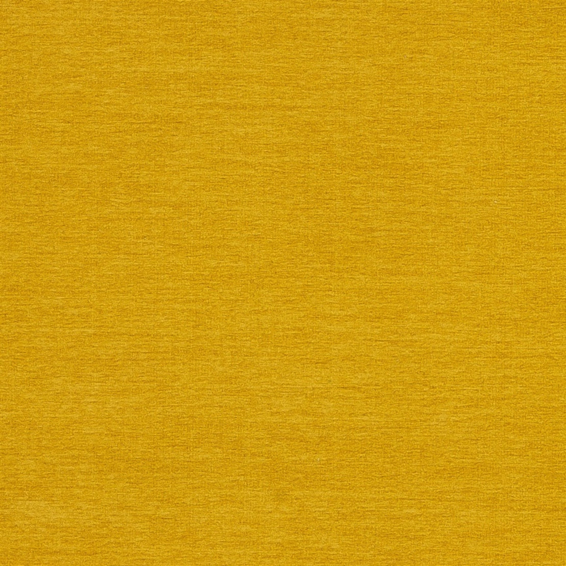 Purchase Maxwell Fabric - Rave, # 535 Mustard