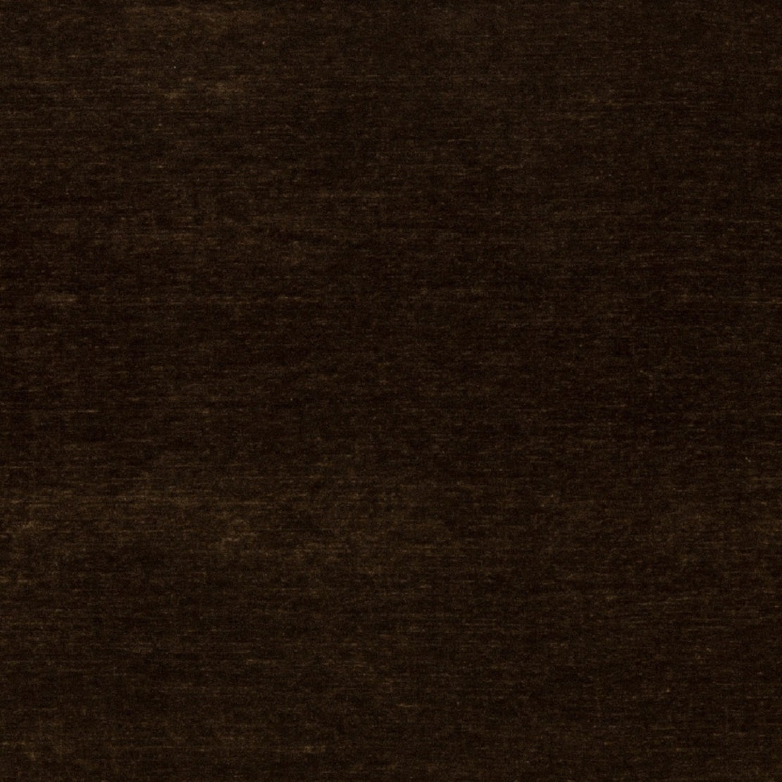 Purchase Maxwell Fabric - Rave, # 631 Chocolate