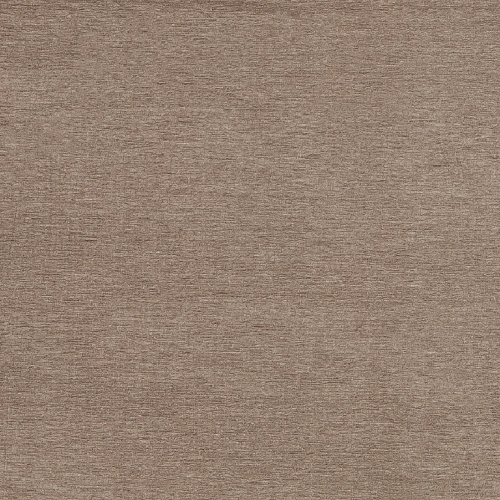 Purchase Maxwell Fabric - Rave, # 641 Dove