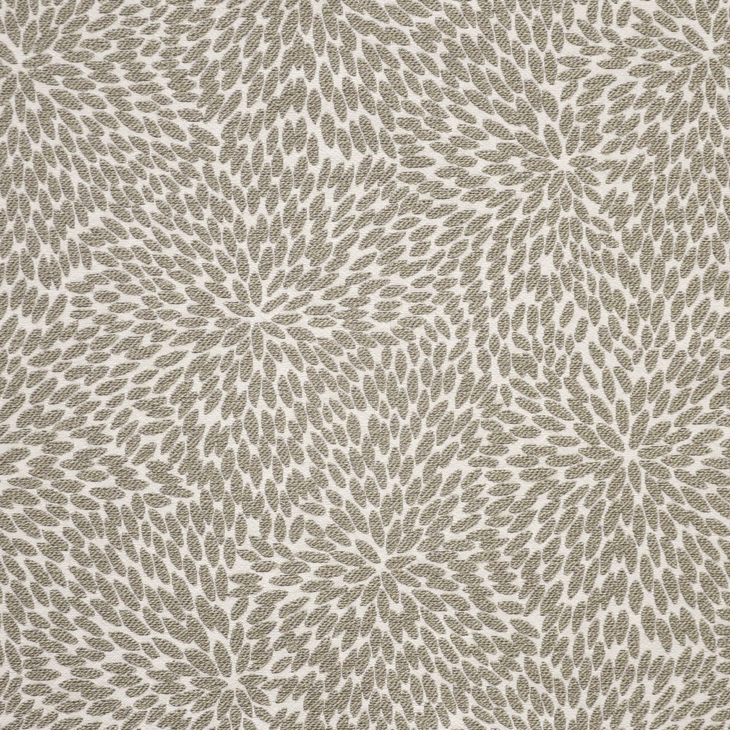 Rosaprima | # 912 Dusty Miller - Maxwell Fabric