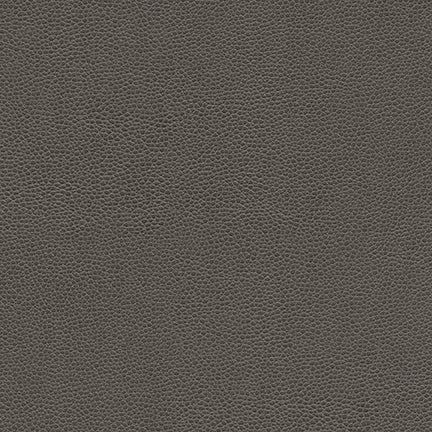 Purchase Maxwell Fabric - Rambutan-Nj, # 779 Graphite