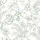 Purchase Rt7842 | Toile Resource Library, Tropical Sketch Toile - York Wallpaper