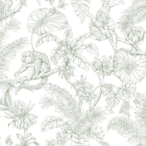 Purchase Rt7842 | Toile Resource Library, Tropical Sketch Toile - York Wallpaper