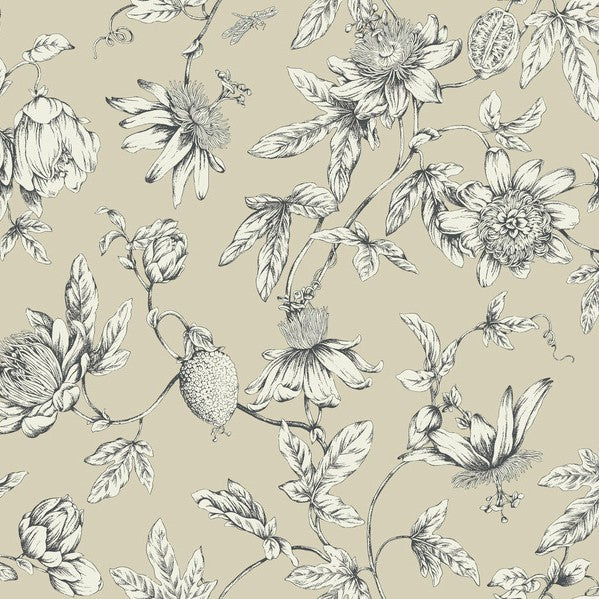 Purchase Rt7854 | Toile Resource Library, Passion Flower Toile - York Wallpaper