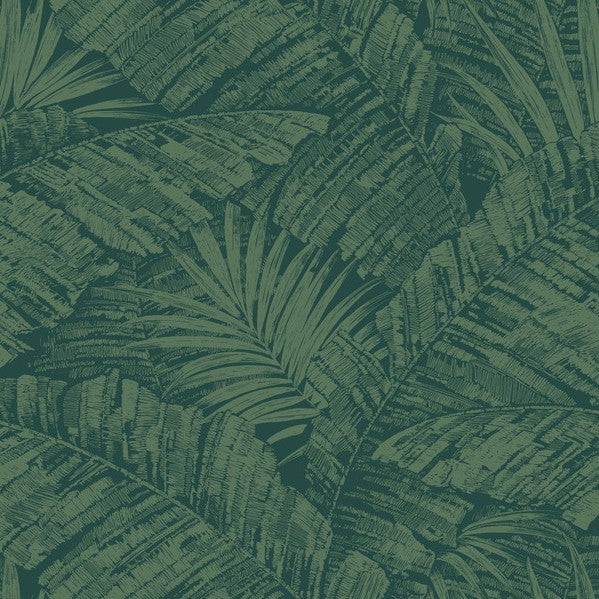 Purchase Rt7924 | Toile Resource Library, Palm Cove Toile - York Wallpaper