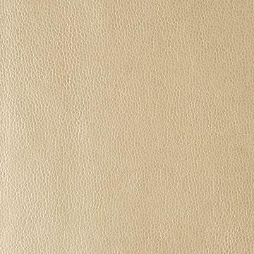 Sample - Kerinci.116.0 | Kerinci, Performance Sta Kleen - Kravet Design Fabric