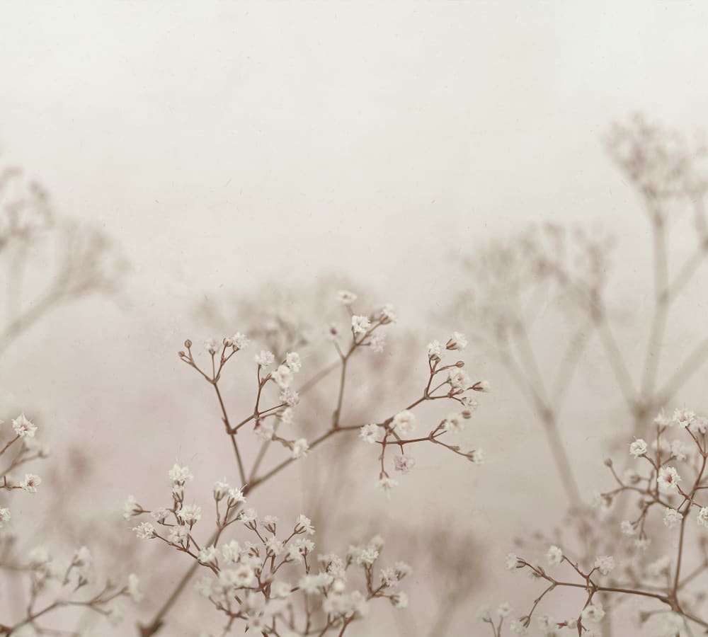 Sandberg Wallpaper pattern name & color Julia Blush from the collection Jordnära.