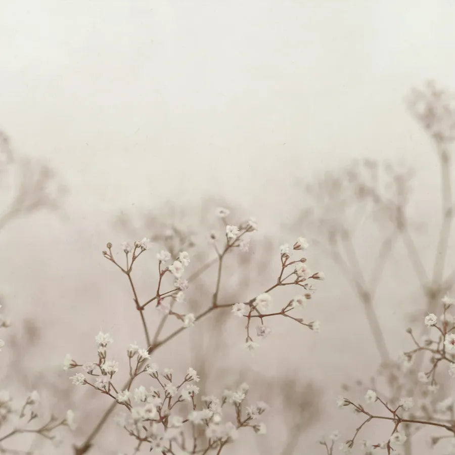 Sandberg Wallpaper Pattern number S10130 pattern name & color Julia Blush from the collection Jordnära.