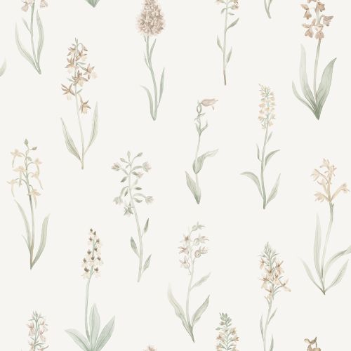 Purchase Sandberg Wallpaper Product 2028-11-22 pattern name Alma color name Blush.