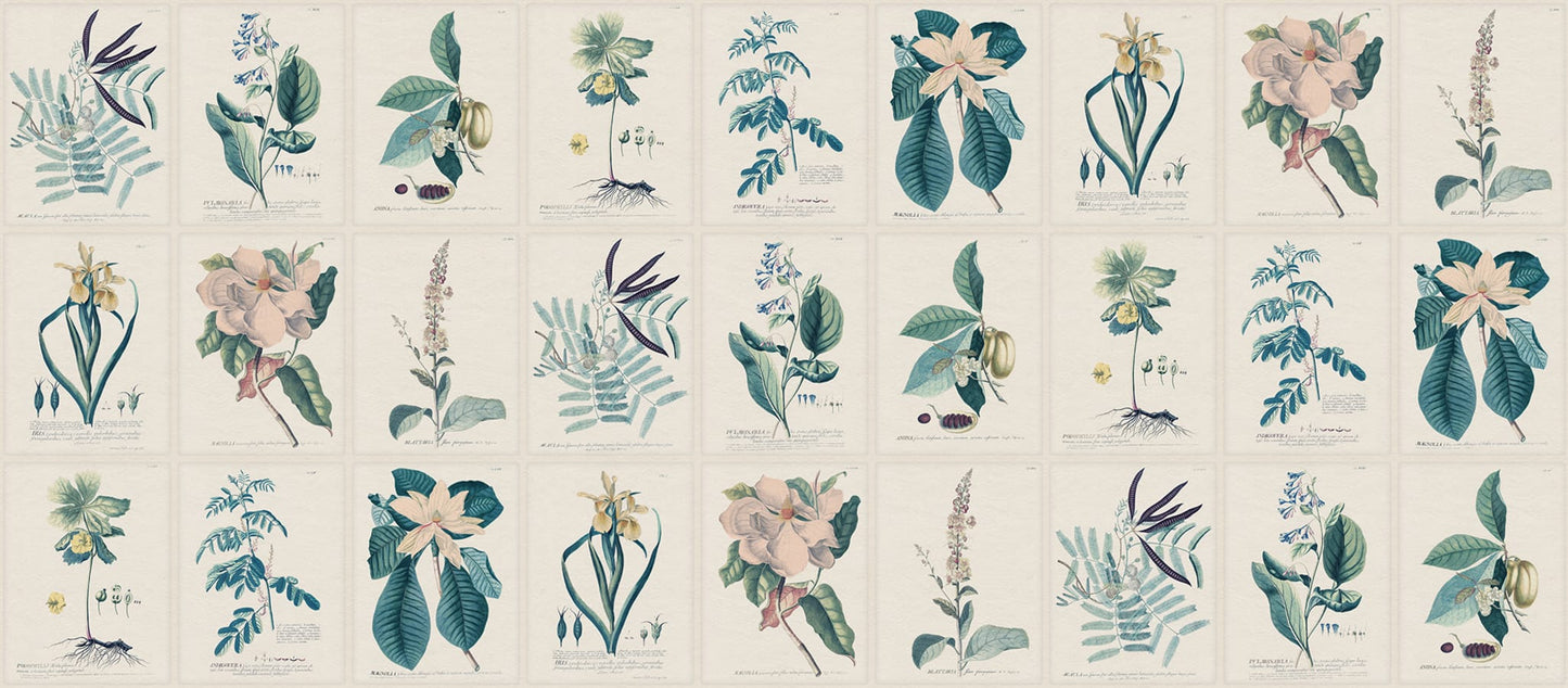 Sandberg Wallpaper pattern name & color Flora, Blue from the collection Herbarium.