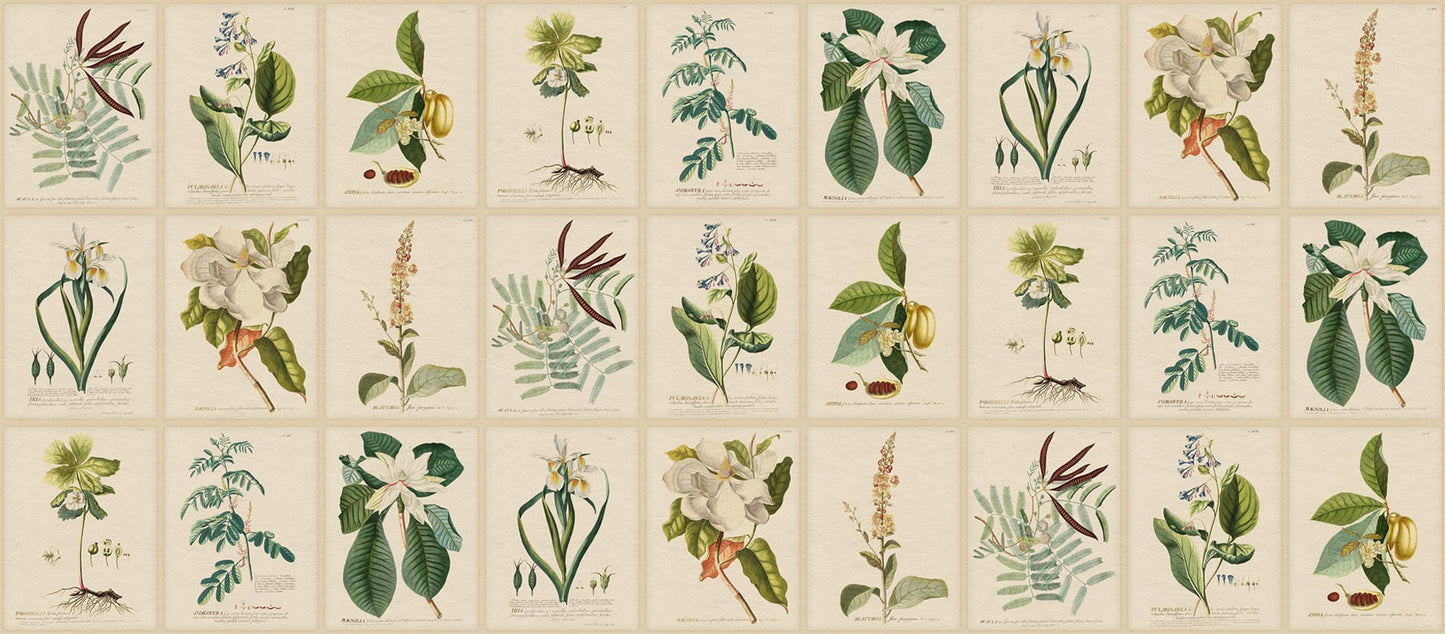 Sandberg Wallpaper pattern name & color Flora, Green from the collection Herbarium.