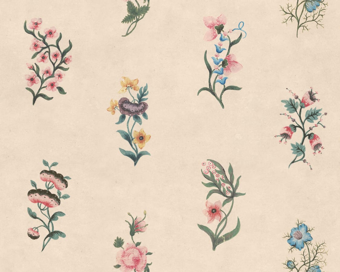 Sandberg Wallpaper pattern name & color Victoria, Colorful from the collection Herbarium.