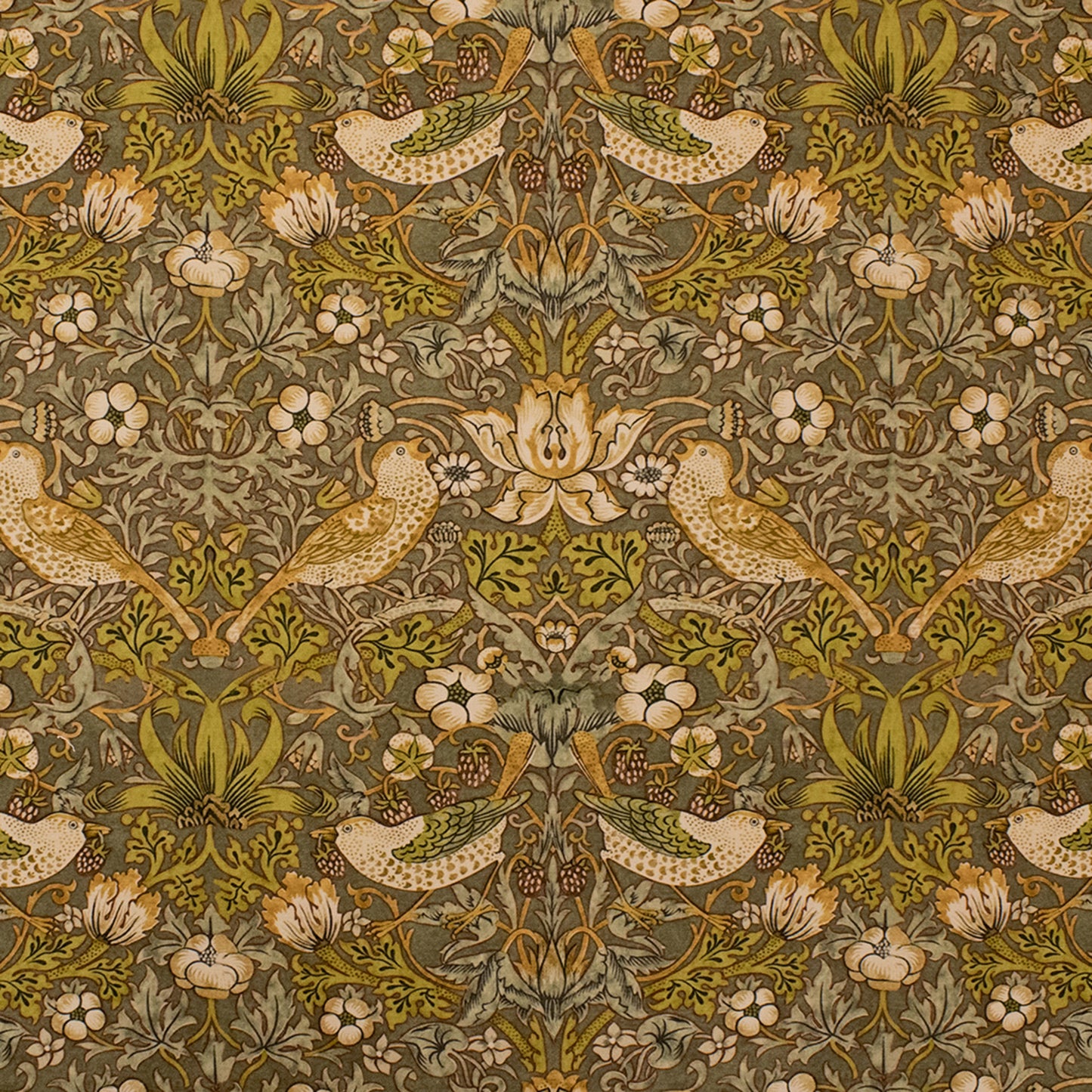 Purchase Greenhouse Fabric S6397 Sage