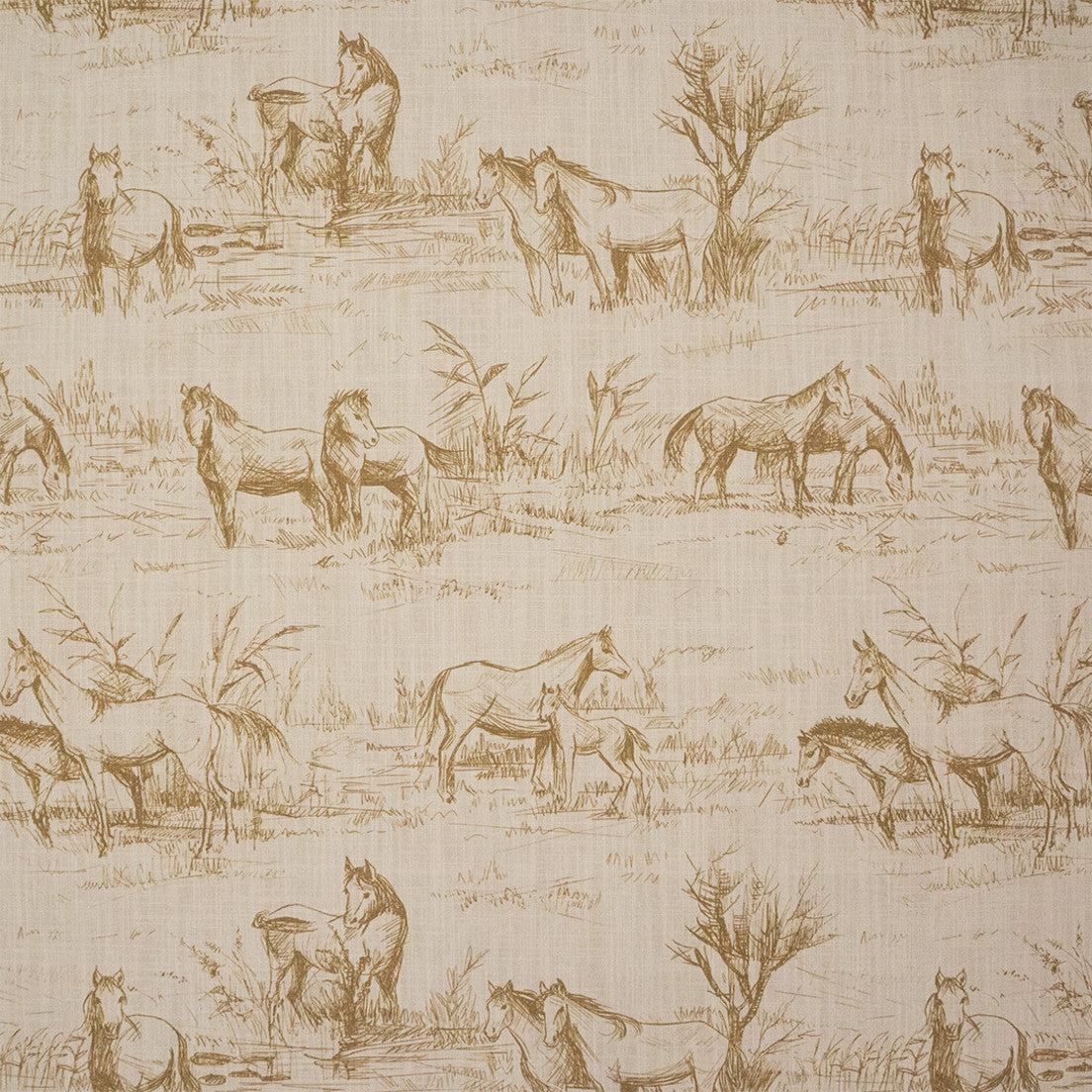 Purchase Greenhouse Fabric S7410 Coriander