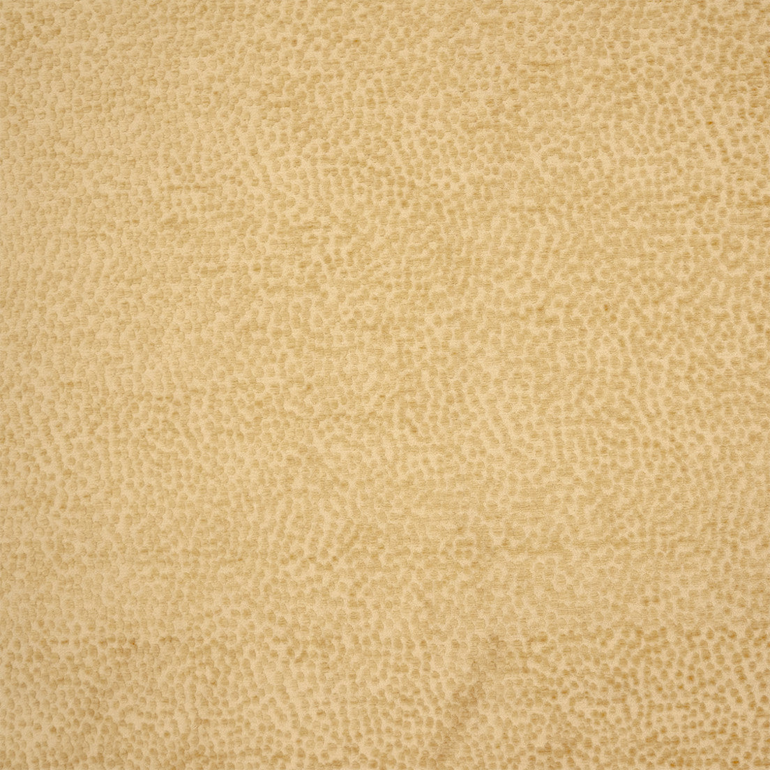 Purchase Greenhouse Fabric S7508 Hay