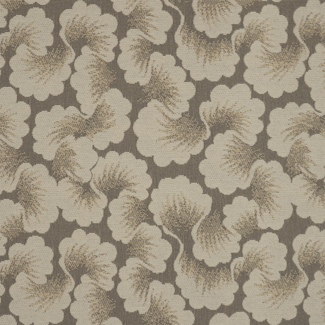 Purchase Greenhouse Fabric S7605 Cloud