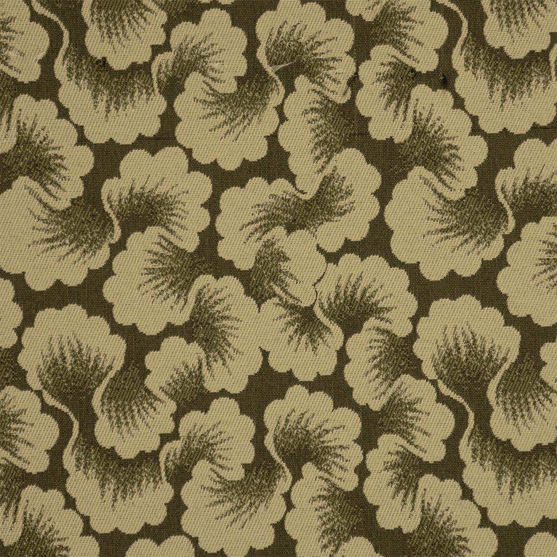 Purchase Greenhouse Fabric S7787 Olive