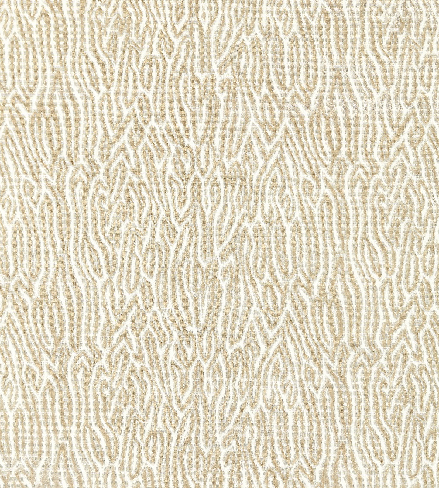 Purchase Scalamandre Fabric Pattern# SC 000127076, Faux Bois Velvet Fog 1