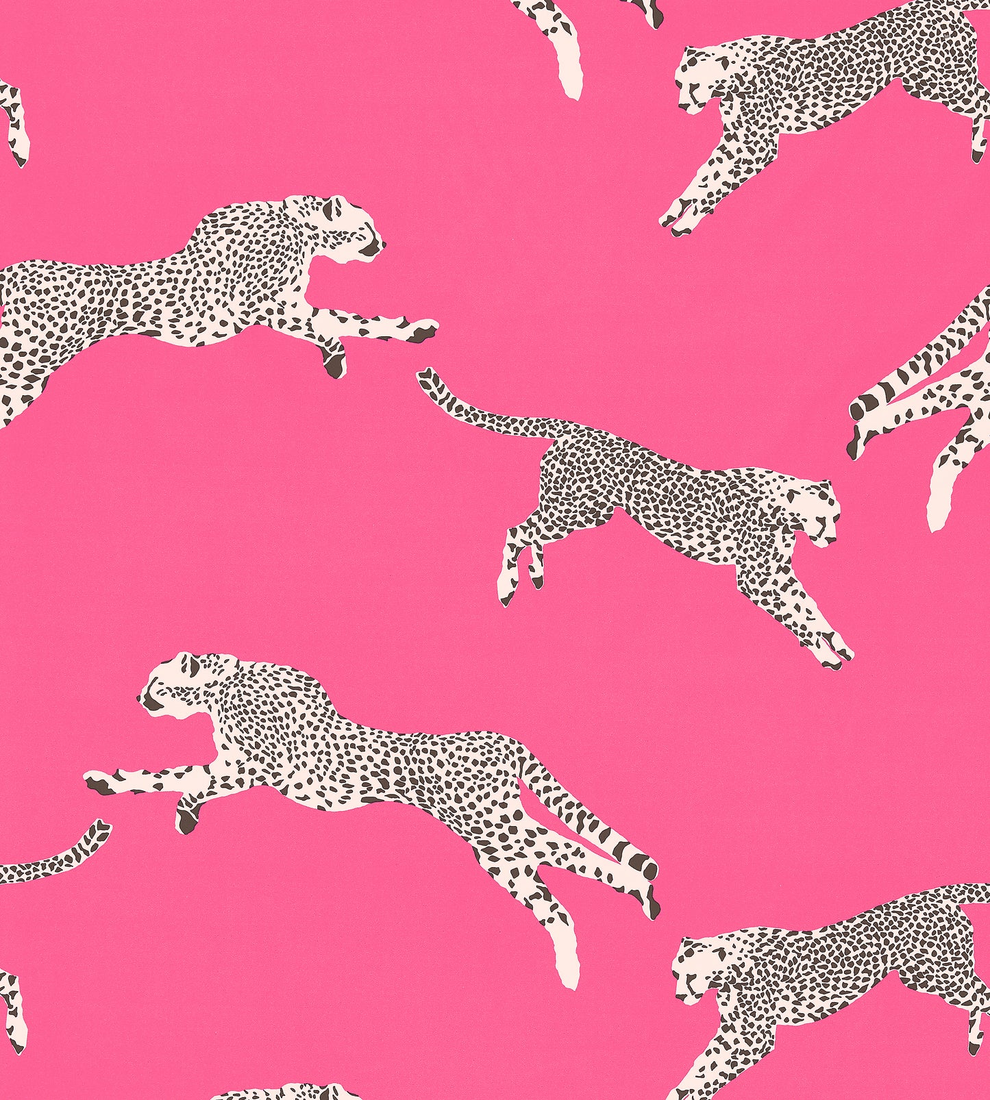 Purchase Scalamandre Fabric Pattern number SC 000316634, Leaping Cheetah Cotton Print Bubblegum 1