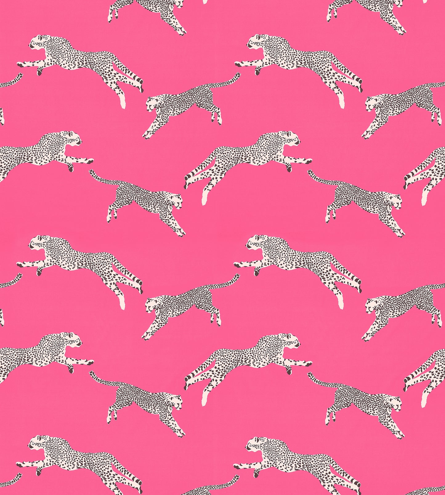 Purchase Scalamandre Fabric Pattern number SC 000316634, Leaping Cheetah Cotton Print Bubblegum 4