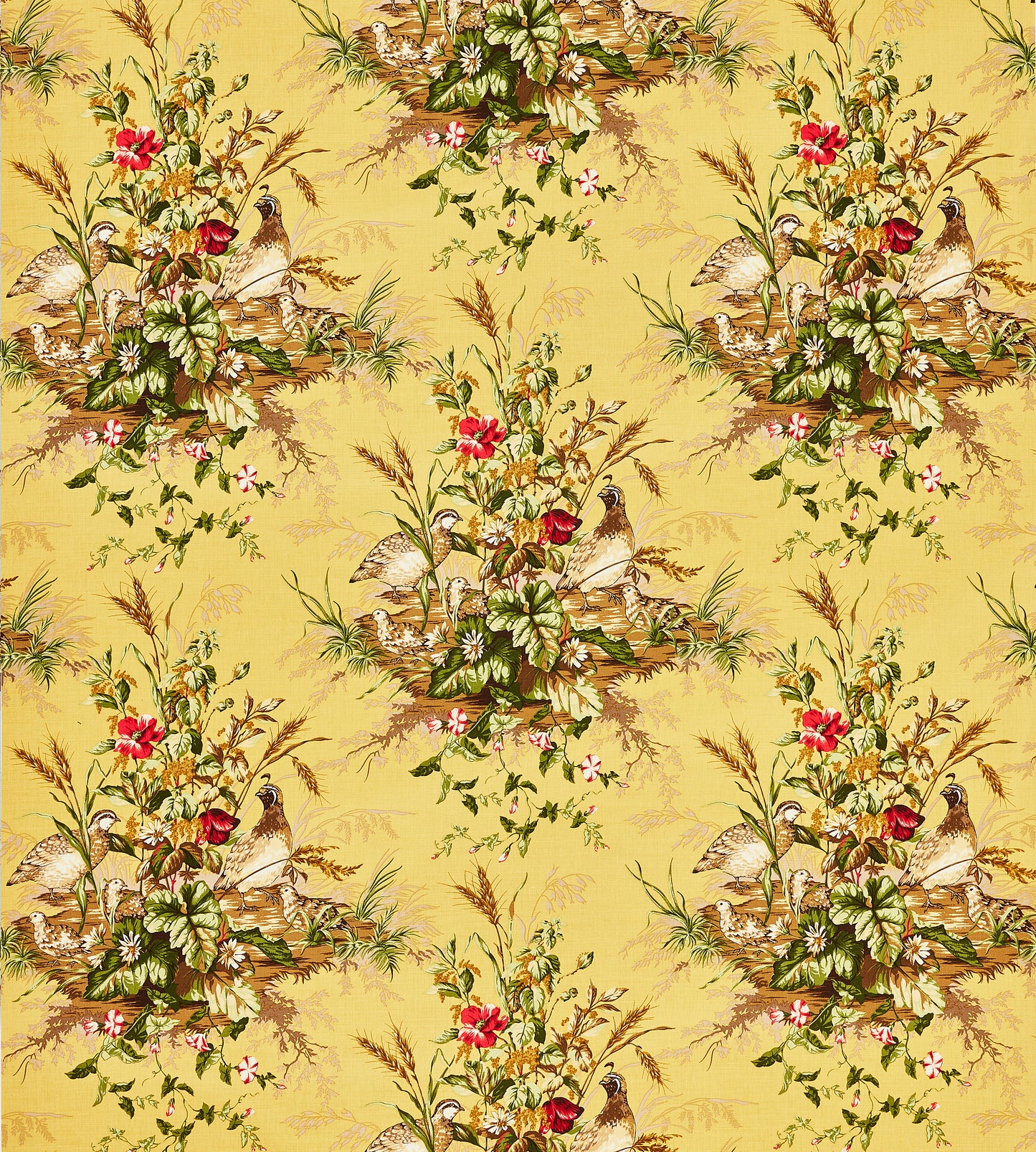 Purchase Scalamandre Fabric Product SC 000516310, Edwin'S Covey Linen Print Multi On Mustard 4