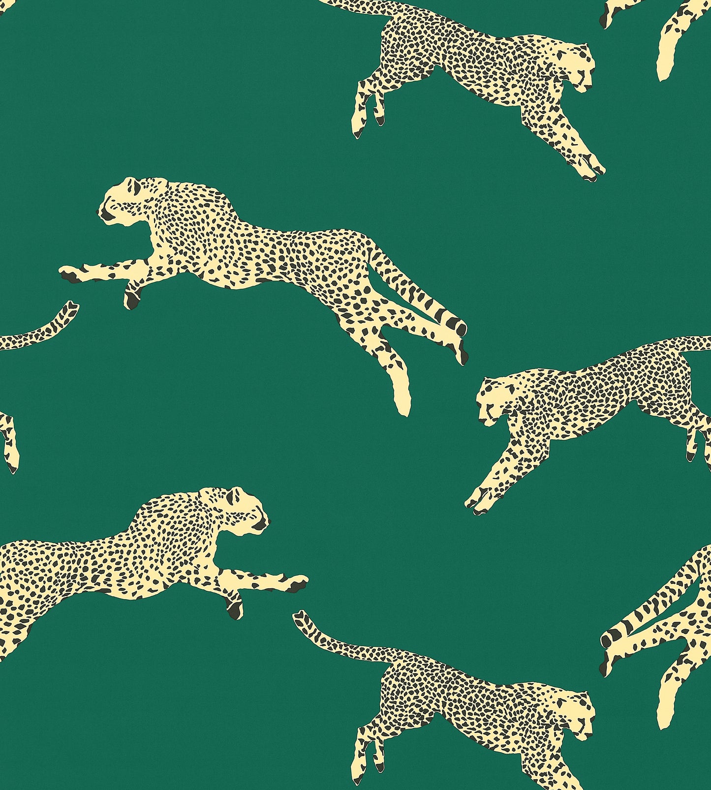 Purchase Scalamandre Fabric Item# SC 000516634, Leaping Cheetah Cotton Print Evergreen 1