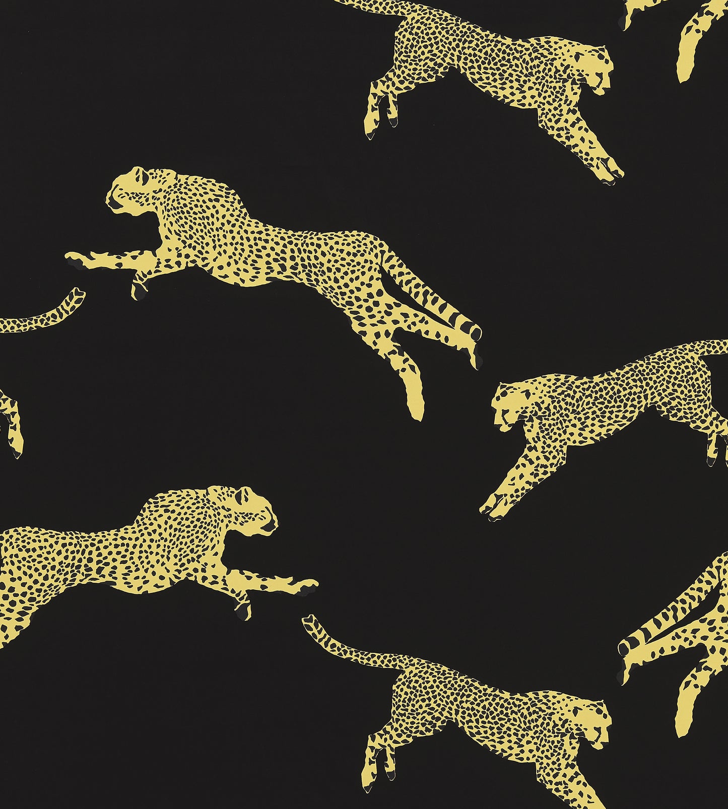 Purchase Scalamandre Fabric SKU# SC 000616634, Leaping Cheetah Cotton Print Black Magic 1