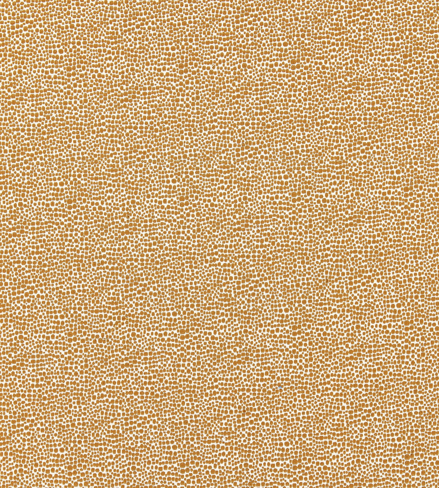 Purchase Scalamandre Fabric Product# SC 000626914M, Shagreen Beige 1