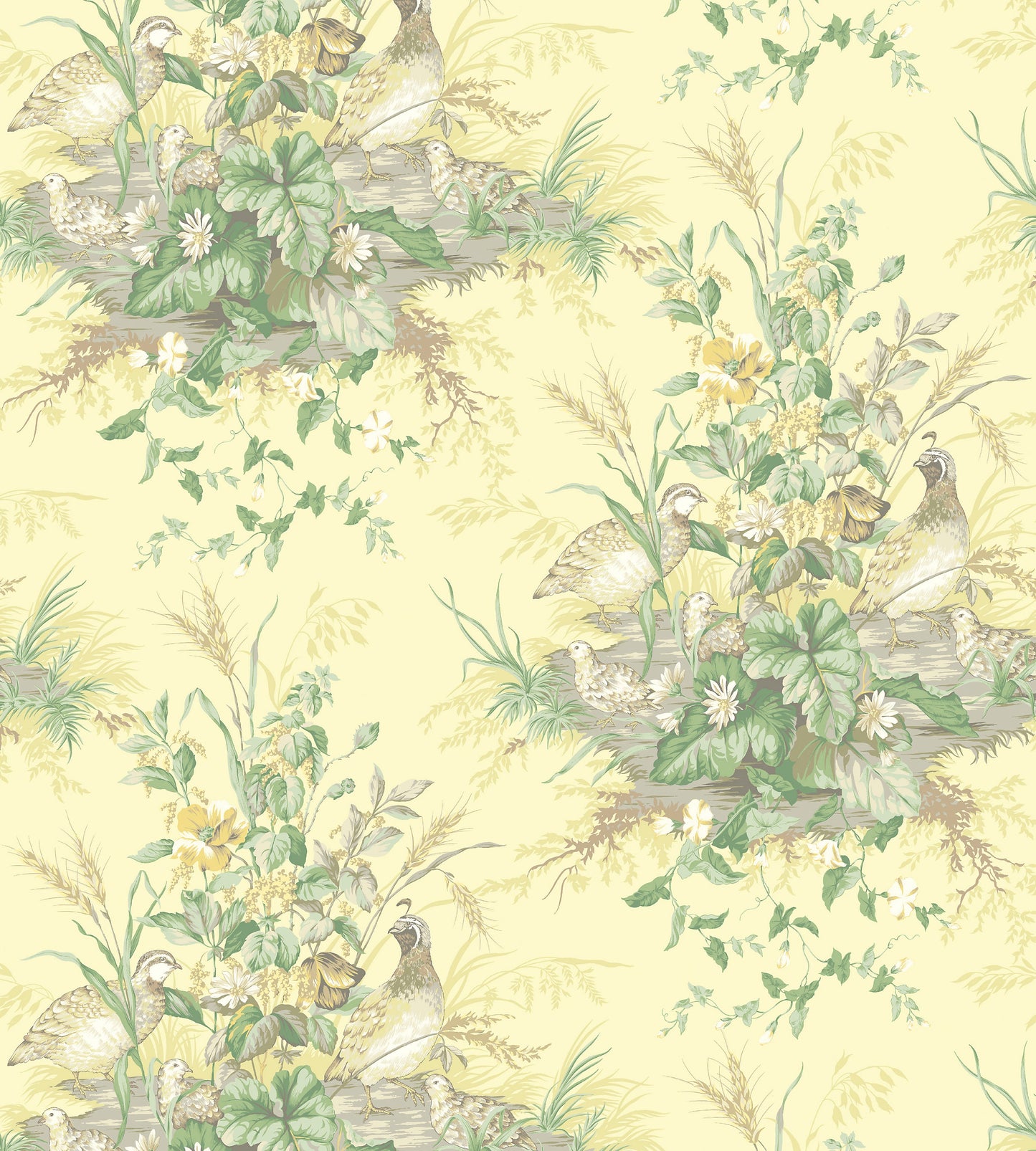 Order Scalamandre Wallpaper Pattern Sc 0003Wp88434 Name Edwin'S Covey Sunlit Bird Wallpaper