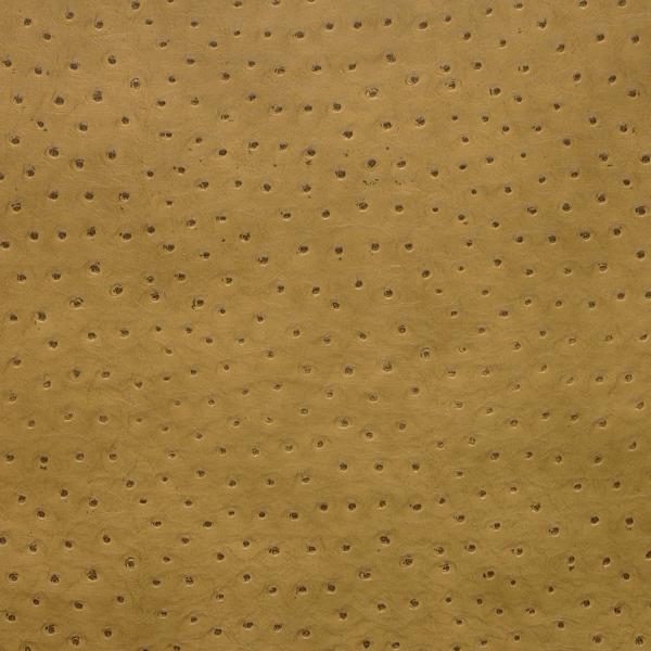 Sample - Senna.4.0 | Kravet Design, - Kravet Design Fabric