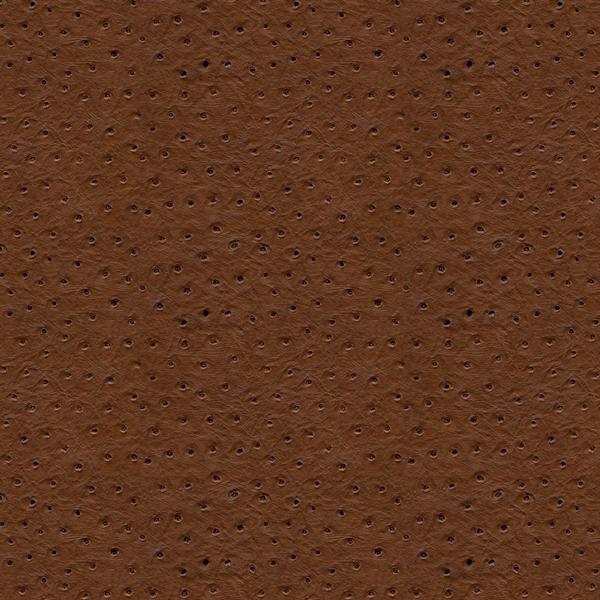 Sample - Senna.6.0 | Kravet Design, - Kravet Design Fabric
