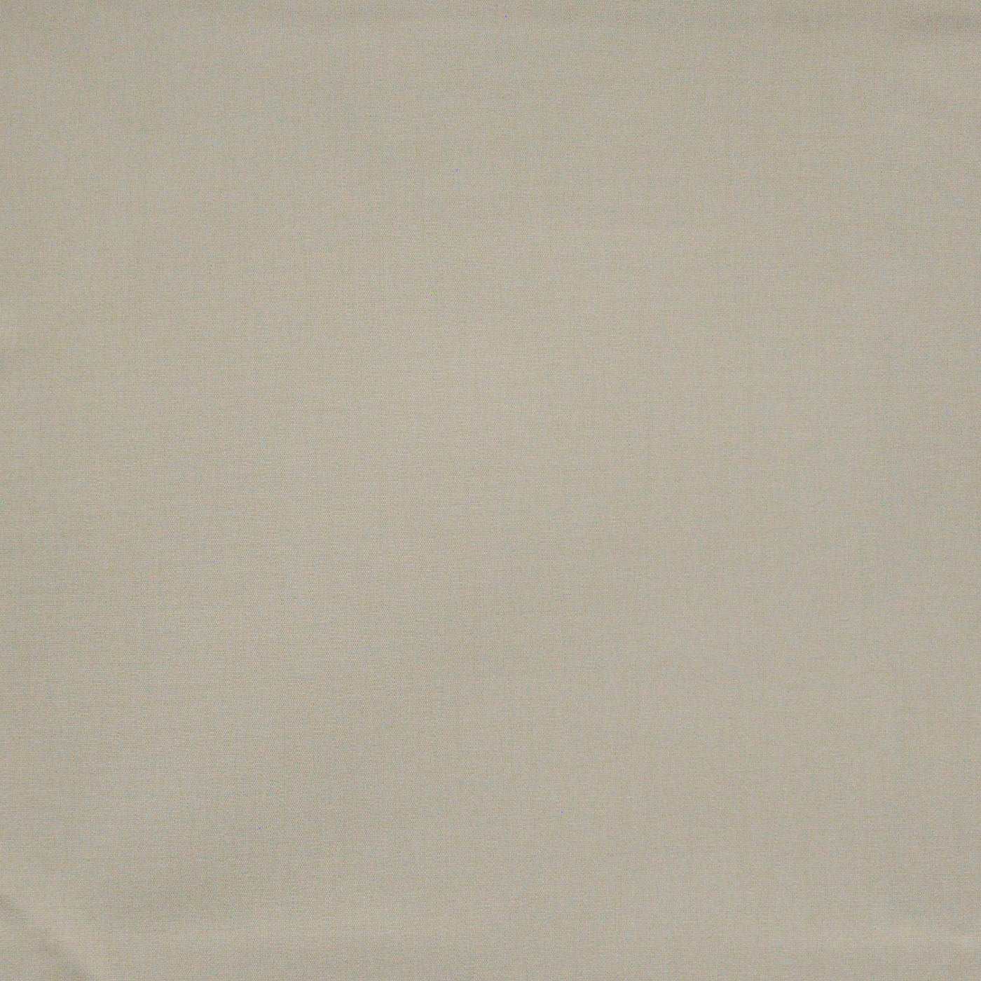 Standish | # 665 Gesso - Maxwell Fabric
