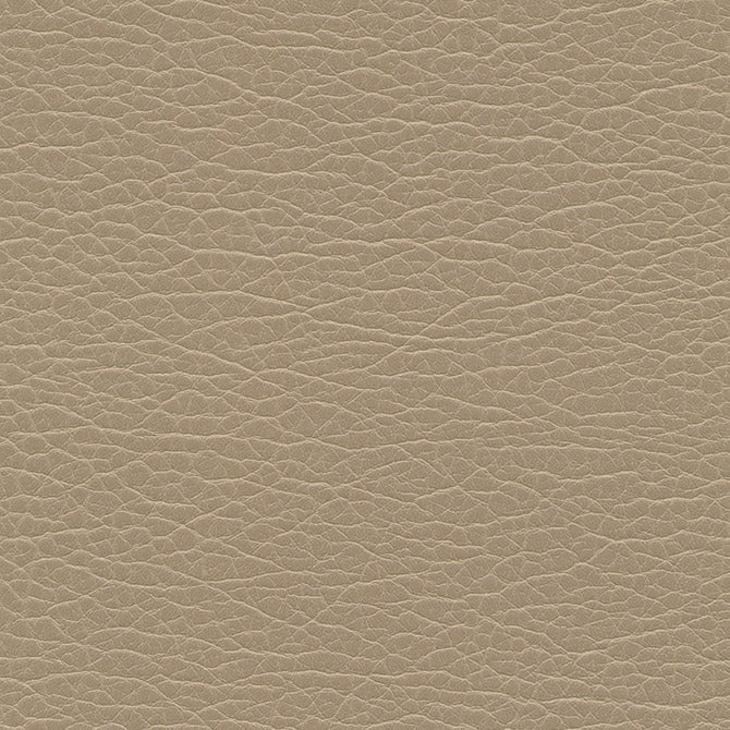 Purchase Maxwell Fabric - Spire-Nj, # 1196 Edo