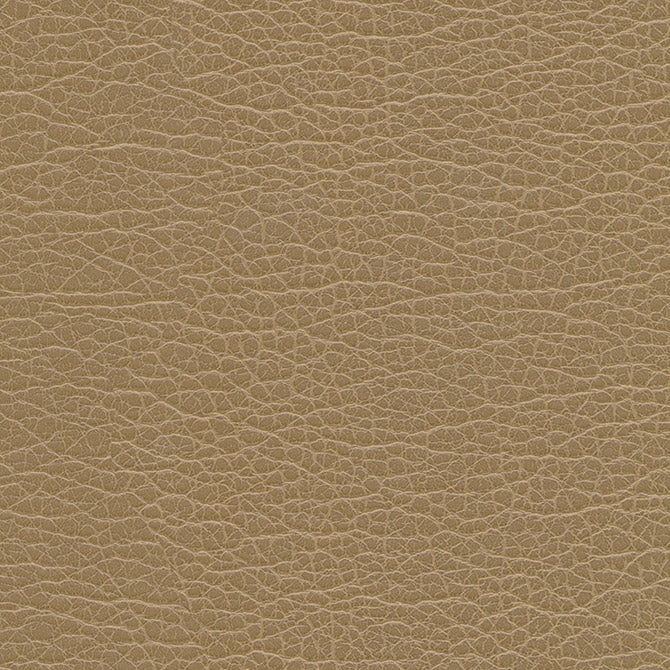 Purchase Maxwell Fabric - Spire-Nj, # 1199 Birch