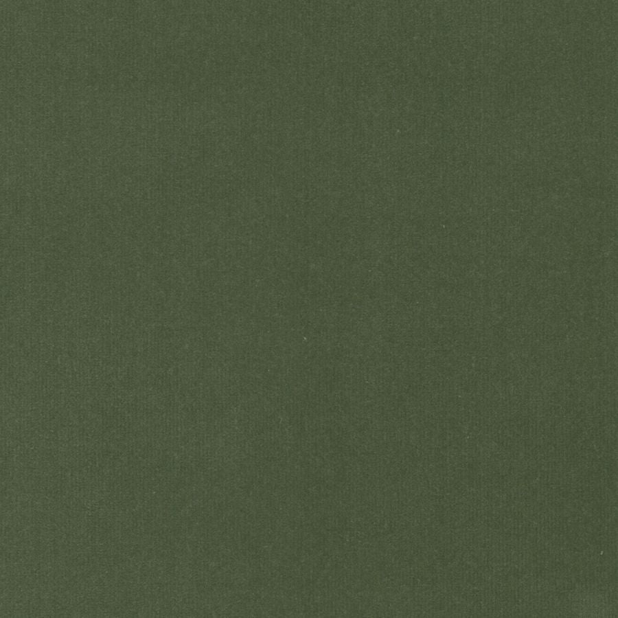 Purchase Stout Fabric Item# Spock 6 Dill