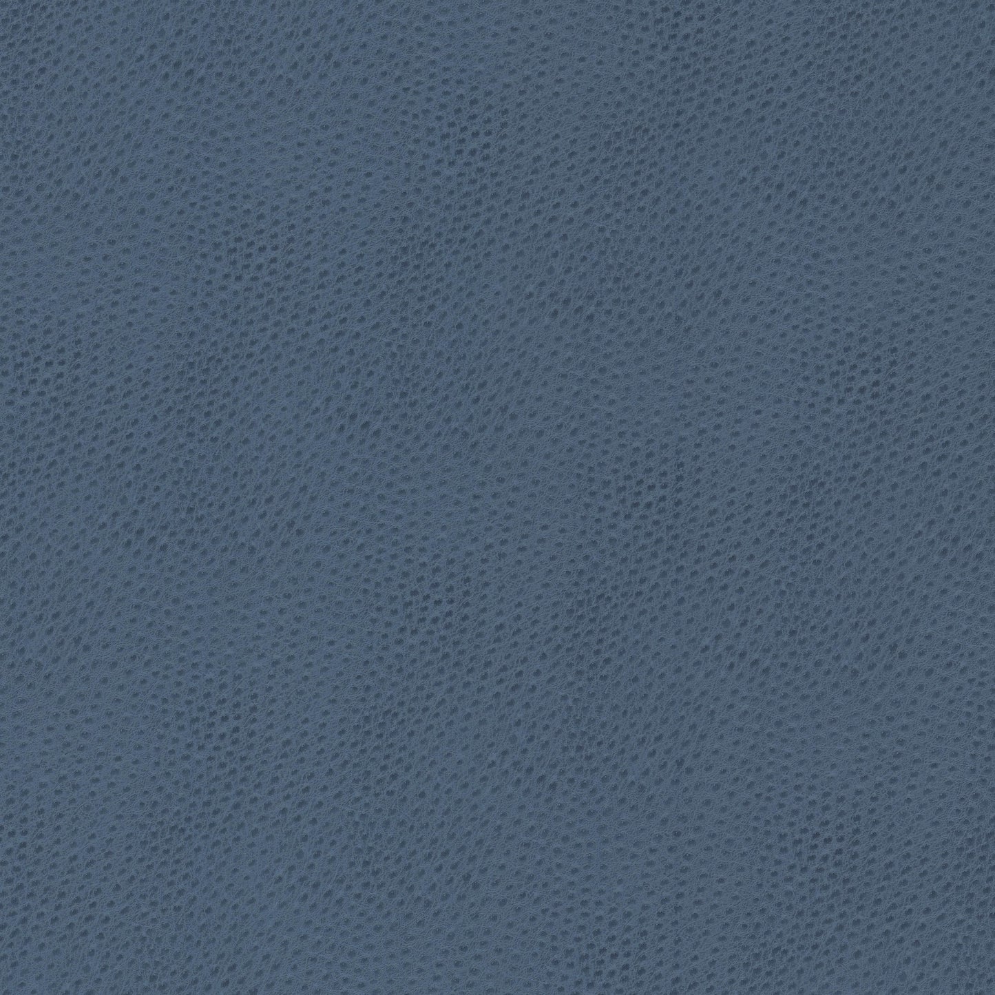 Purchase Stout Fabric Pattern# Steeplechase 3 Bluebird