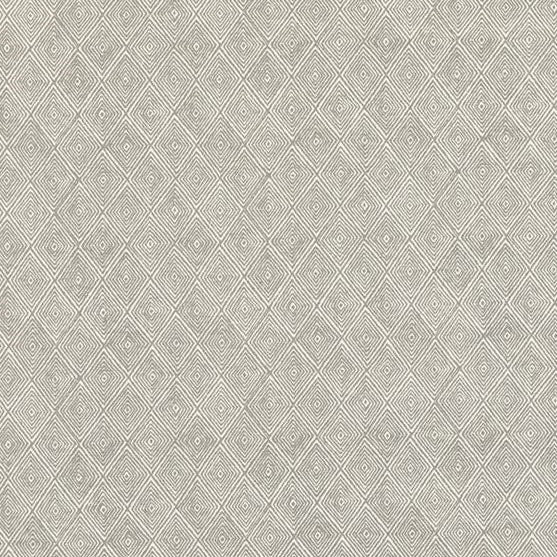 Sample ED75042-3 Boundary Dove Threads Fabric