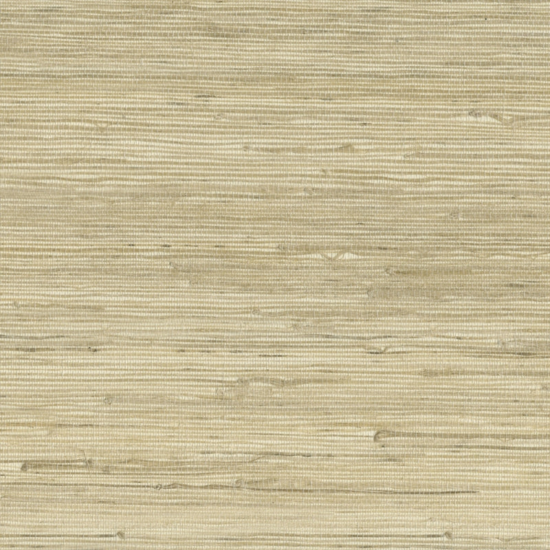 Buy 9025 14WS121 Indochine JF Wallpaper