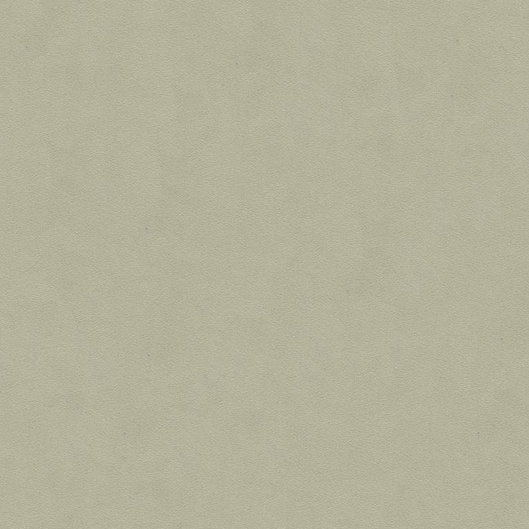 Sample 960122.2101 ULTIMATE SUEDE Ultimate Ash Grey Solids/Plain Cloth Lee Jofa Fabric
