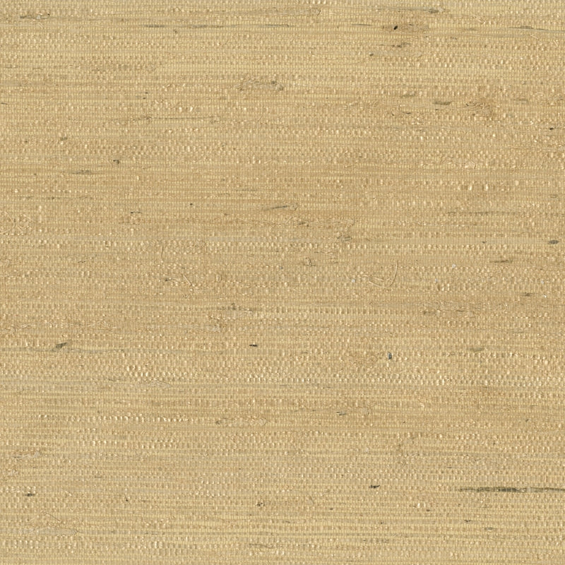 Acquire 9089 20WS121 Indochine JF Wallpaper
