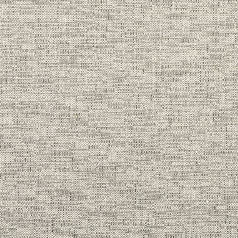 Sample 35980.111.0 Oaks White Solid Kravet Fabric Fabric