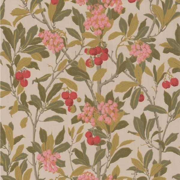 Sample 100/10047 Strawberry Tree Cole and Son Wallpaper
