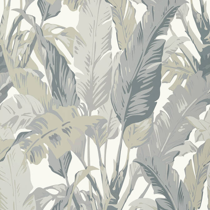 Purchase a sample of T10129 Travelers Palm, Tropics Thibaut Wallpaper