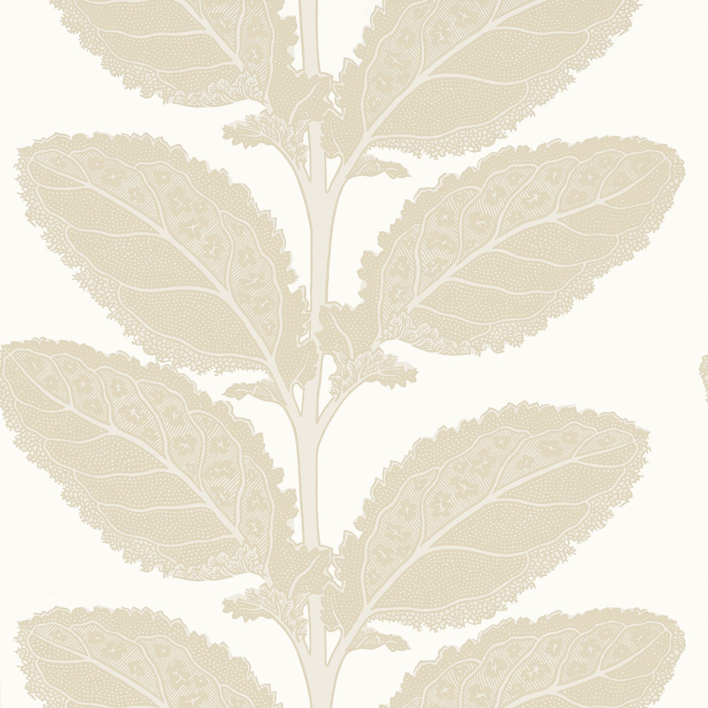 Order Thibaut Wallpaper Item T12041 Pattern Name Lacinato From The Collection Vista.