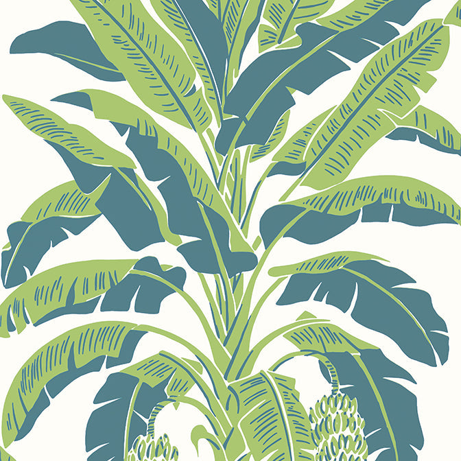 Purchase a sample of T13918 Banana Tree, Palm Grove by Thibaut Wallpaper